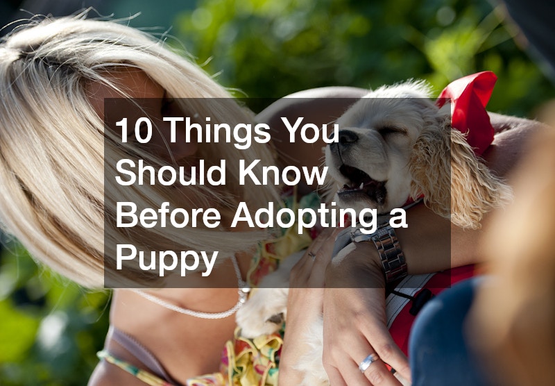 5 Things You Should Know Before Adopting a Puppy