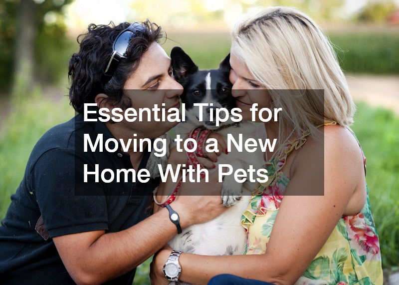 Essential Tips for Moving to a New Home With Pets
